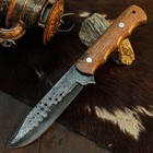 9.1" Collector Damascus Hunting Bush craft Full tang Knife+Wood Handle — photo 2