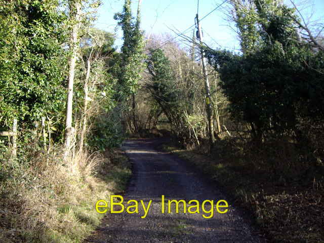 FILA Photo 6x4 Warren Row Taken at start of short walk c2007