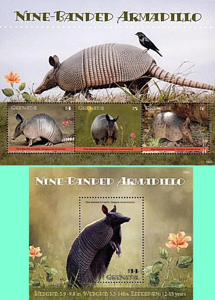 👉 Grenade 2019 Armadillo S/S + M/S MNH Animaux Oiseaux - Photo 1/1