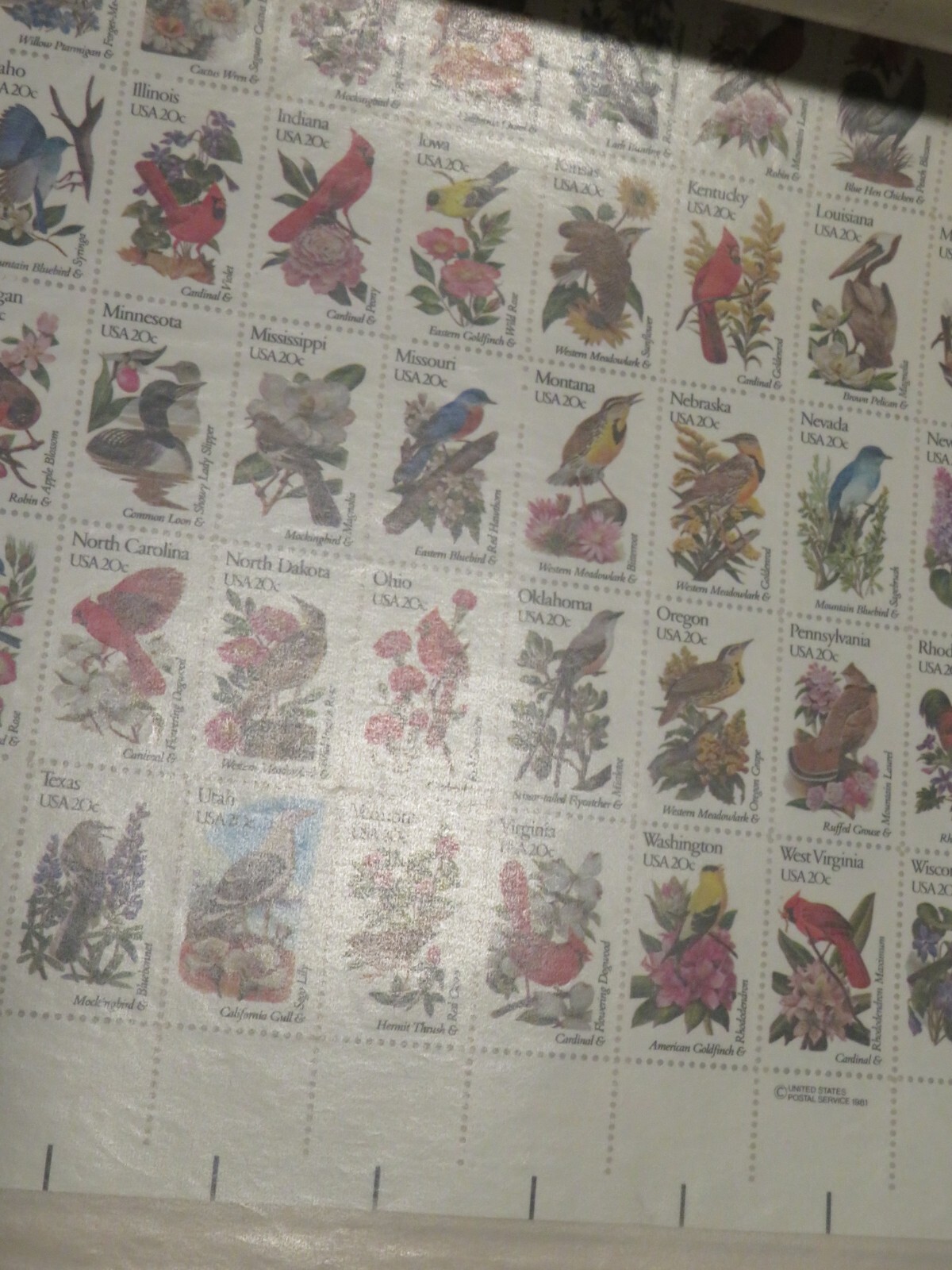 Picture 3 of 18