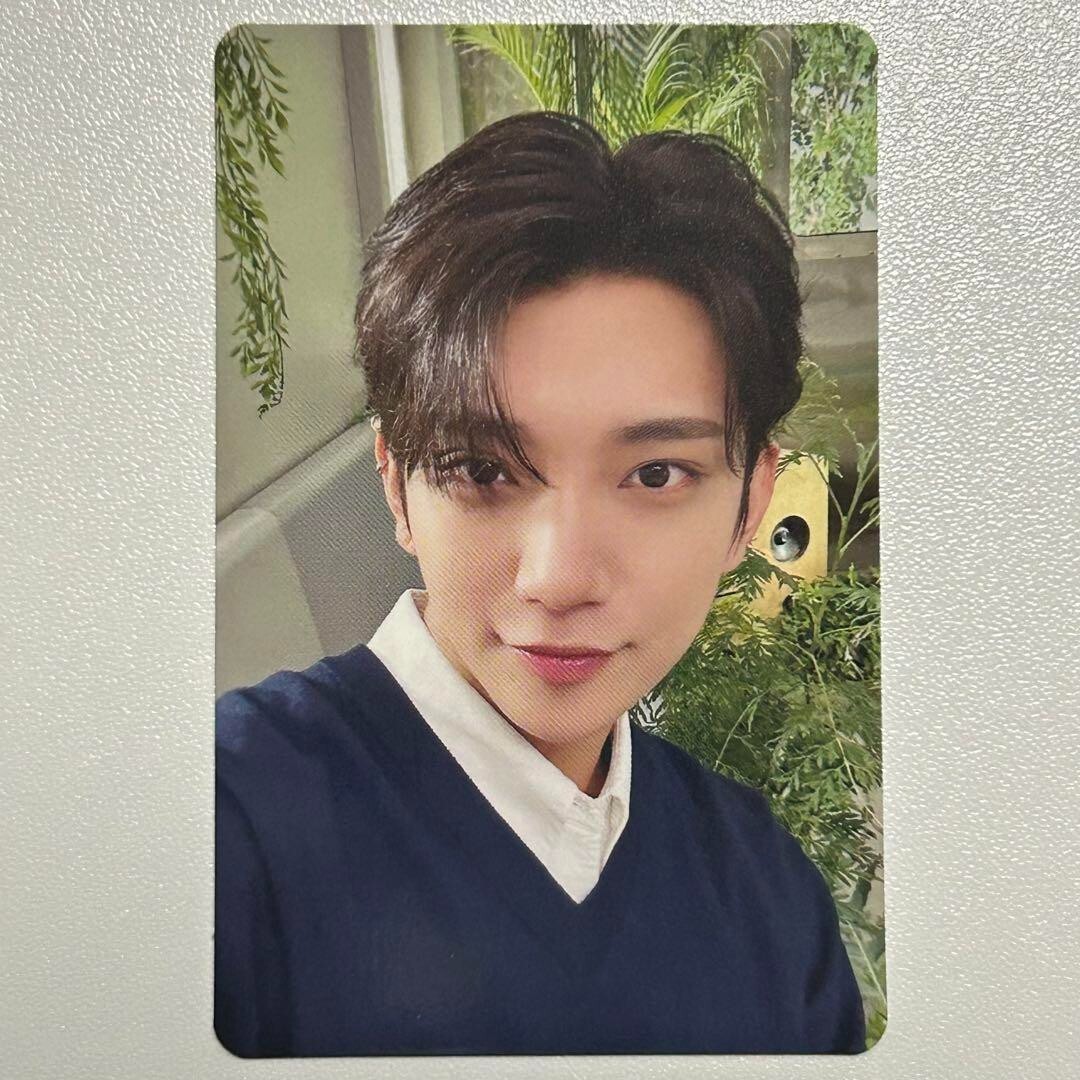 SEVENTEEN さっちゃん s-l1200.jpg