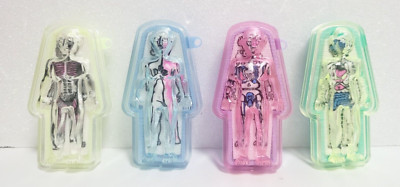 Human Body  Eraser with coffin Case 4 pieces Super Rare Retro