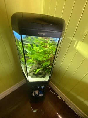Aquael Fish Tank With Stand Pet Products Gumtree Australia Brisbane South East Wynnum 1255661745