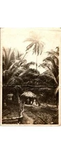 1910s Tropical Thatched Hut & Family Postcard Halftone Print Deltiology
