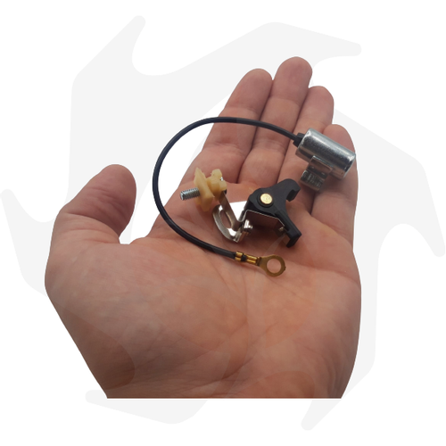 PUNTINE PLATINATE + CONDENSATORE PER MOTORI BETA cod BG 000099 - Imagen 4 de 4