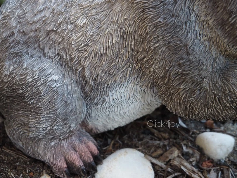 29CM WOMBAT EATING LEAVES Australian Native Marsupial Garden Ornament FIGURINE - image 3 of 4