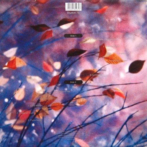 Erasure - Wild! - Gebrauchte Vinyl Schallplatte - N7420z - Bild 2 von 5