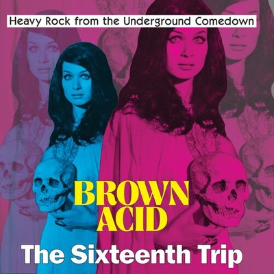 Various Artists - Brown Acid - The Sixteenth Trip (Various Artists) [New Vinyl L