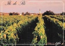 17 LA COUARDE SUR MER PLAGES SPORTS ET LOISIRS