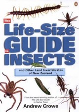 The Life-Size Guide to Insects: and other land invertebrates of New Zealand