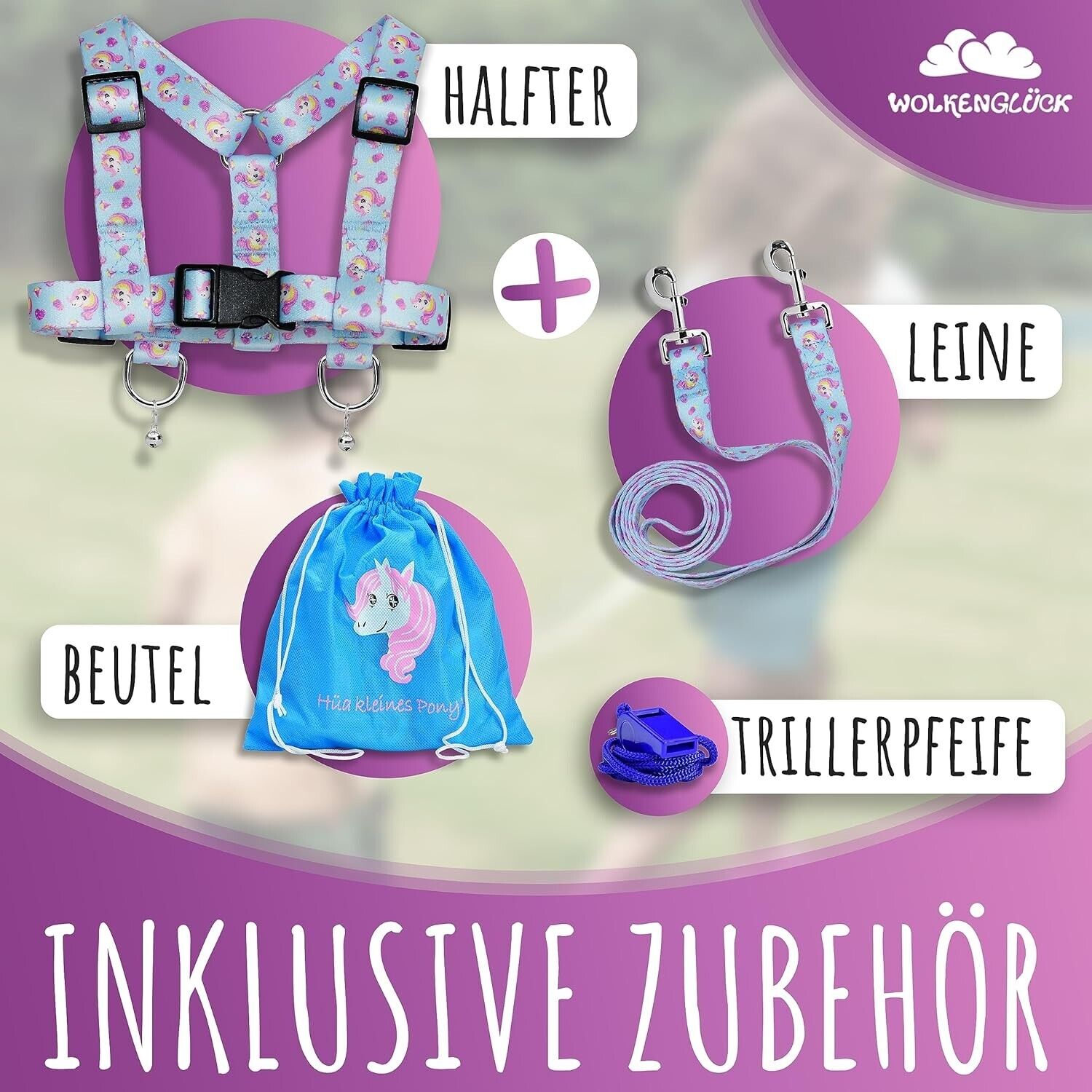 Bild 5 von 8