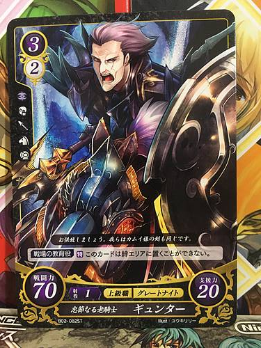 Gunter B02-082ST Fire Emblem 0 Cipher Mint Starter 4 FE If Fates Heroes - Picture 1 of 1