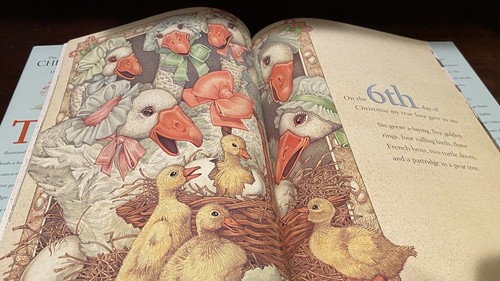 The Twelve Days of Christmas Don Daily 1st Edition Excellent! Illustrated HC DJ - Picture 5 of 8