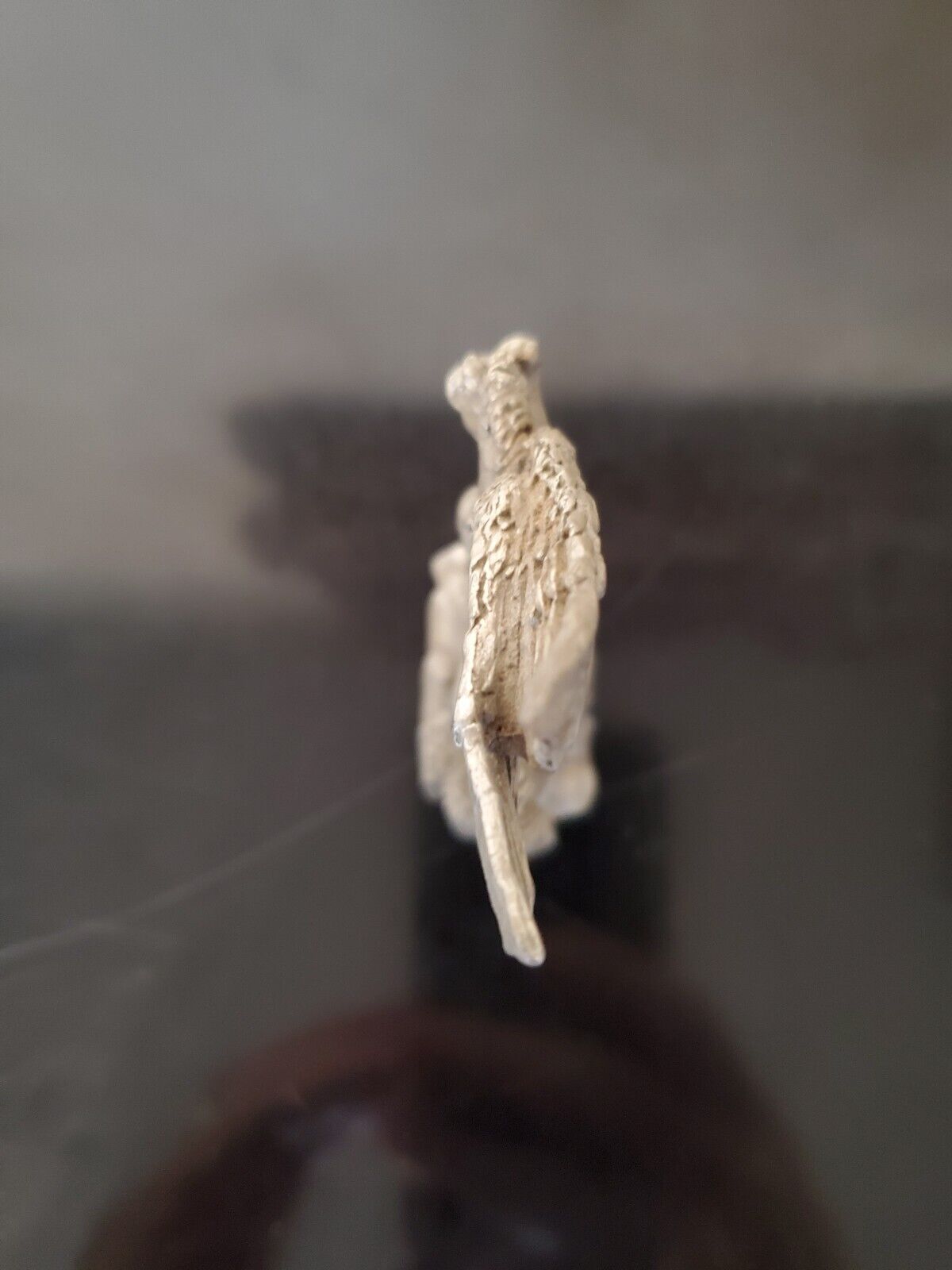 Foto 5 di 6