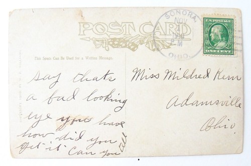 Vintage 1910 Comic Injured Dog Postcard - Don't Start Anything You Can't Finish - Picture 2 of 2
