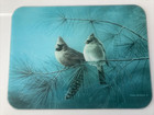 James Hautman GLASS CUTTING BOARD - Cardinals Winter 15.5" x 11.75"