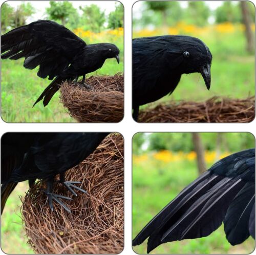 5Pack Halloween Crow Decorations Handmade Realistic Black Feathered Lifesize Fly - Picture 6 of 24