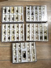Minibiester Sammlung 69 Insekten in Acrylbl&ouml;cken + Alle dazugeh&ouml;rigen Hefte