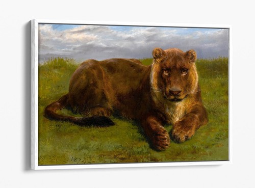 LIONESS POSING, ROSA BONHEUR- FLOAT EFFECT FRAMED CANVAS ART PRINT - Picture 12 of 12
