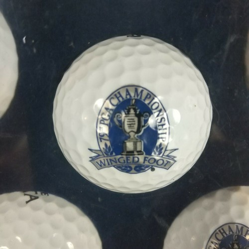Pelota de golf Top Flite 79th PGA Championship pie alado conjunto coleccionable ¡Nuevo! - Imagen 3 de 8