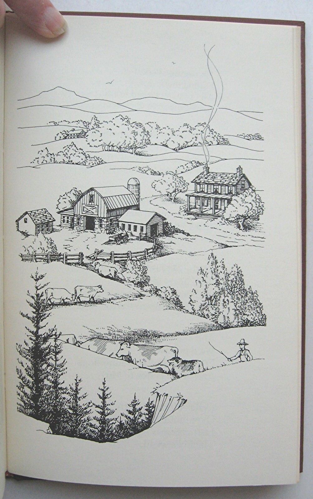 Picture 13 of 14