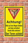 Bild 4 von 5