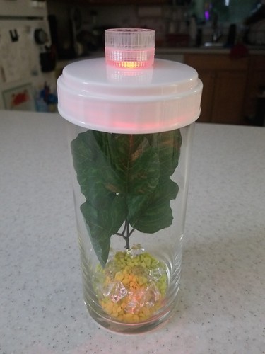 Glass Beta Fish Tank 7.5" X 3.5" With Cover Led Light Change Color Deco Set - Picture 9 of 11