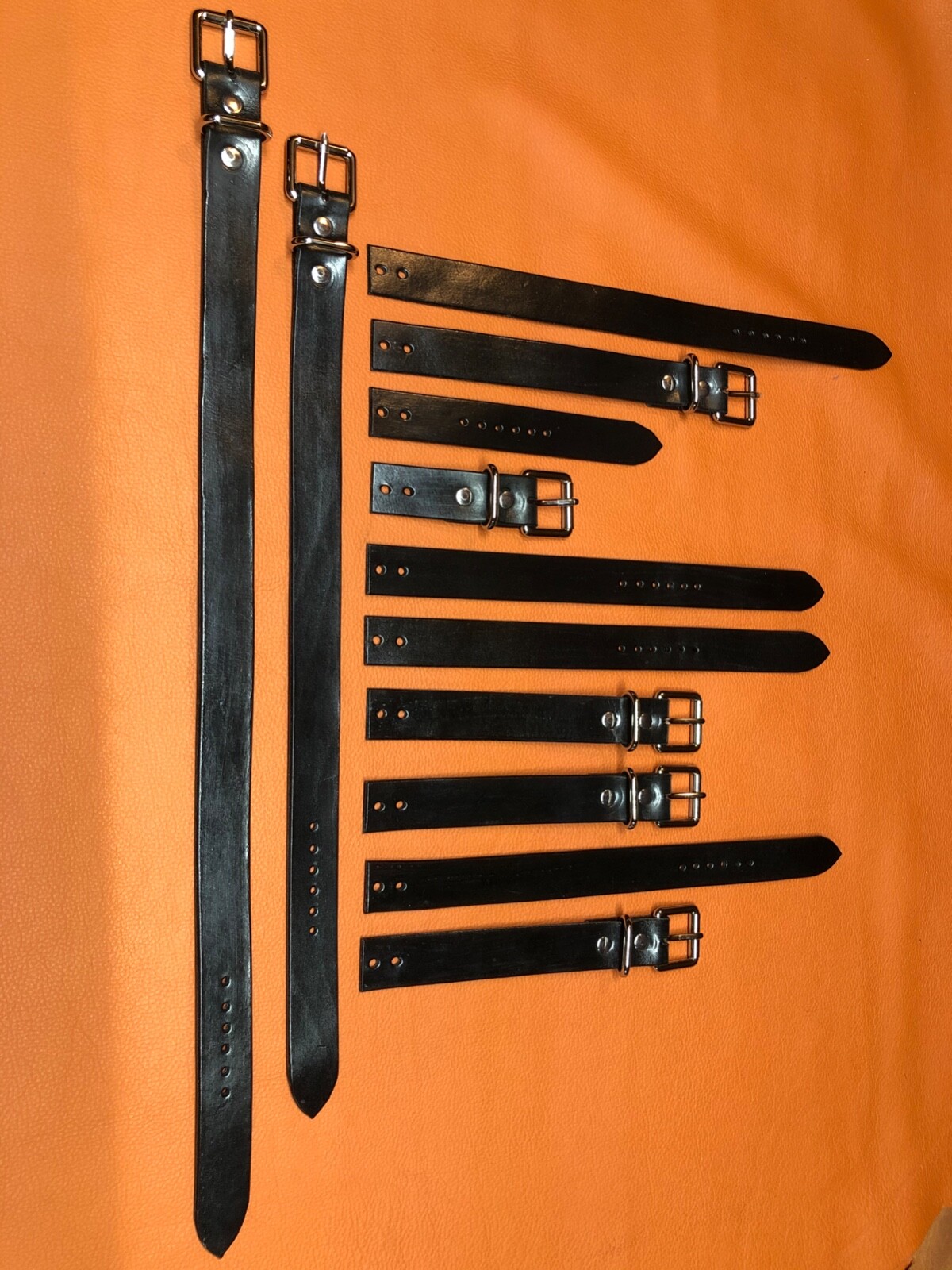 Ferrari 430 Trunk Straps, Spare Tire, Toolkit and Inflator Straps