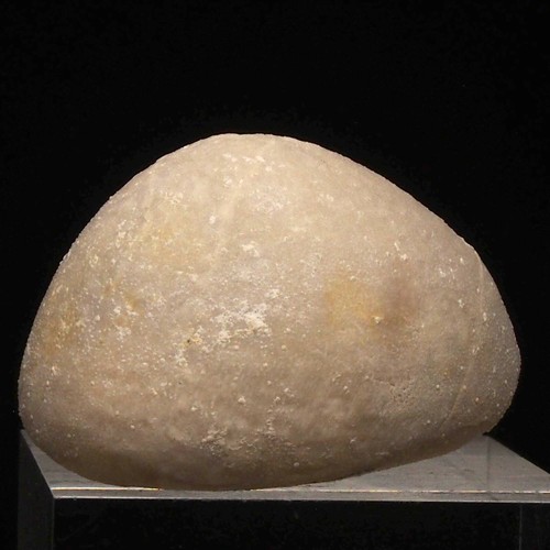 Echinocorys zejszneri - Campano, Cretaceo - Cracovia - Polonia AD48 - Foto 4 di 7