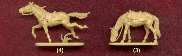 Picture 5 of 5