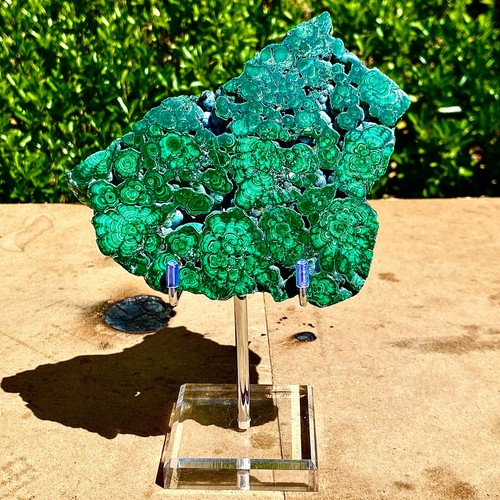 1.52LB Natural high-end peacock stone slices polished specimens spiritual healin