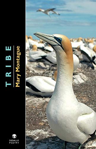 Tribe,Mary Montague - Image 2