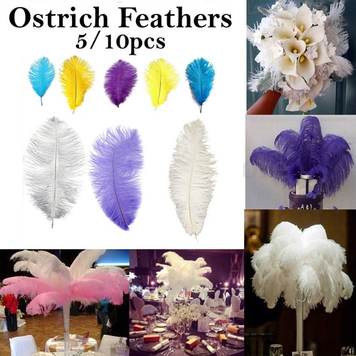 Ostrich Feathers Extra Large Decor for Wedding Hotel Table Costume Decoration