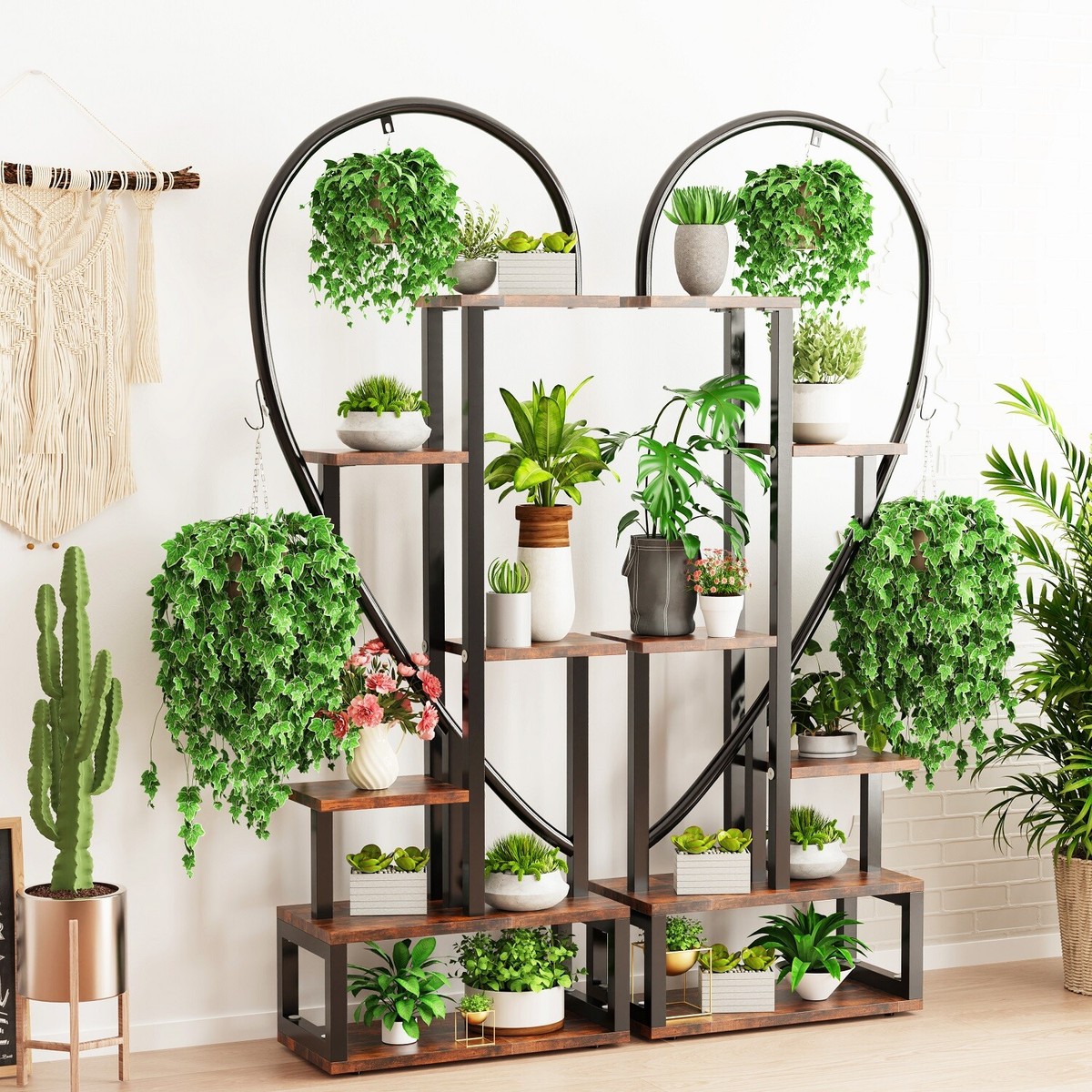 where to buy pothos Pothos Epipremnum aureum 'Jessenia' main image 0