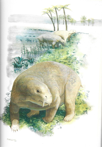 Kadimakara Extinct Vertebrates of Australia, 1985, P.V Rich - Picture 6 of 7