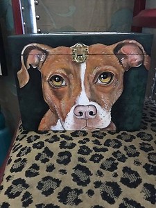 pit bull box