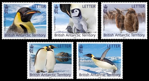 BRITISH ANTARCTIC TERRITORY BAT 2023 BIRDS EMPEROR PENGUINS OISEAUX - 第 1/1 張圖片
