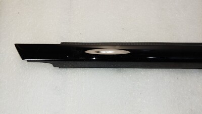 2023-2025 BMW X5 G05 RH-Front Door Belt Molding OEM 51335A8A266