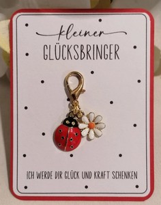 Glücksbringer Geschenkidee Wichtelgeschenk Sylvester  Neujahr Trost Mutmacher