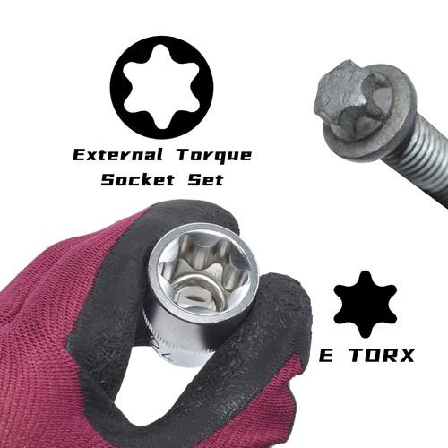 Juego de Dados E-Torx Hembra E4-E24 Para Ratsche 1/4 3/8 1/2 Bausatz Mecánico 14-teilig - Bild 6 von 7
