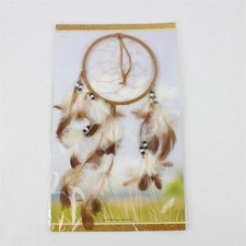 New St. Joseph's Indian School Dream Catcher Native American 14in x 8