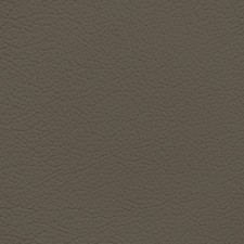 Lexus Medium Taupe Leather Dye
