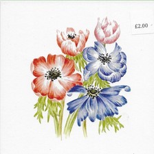 Anemones bouquet