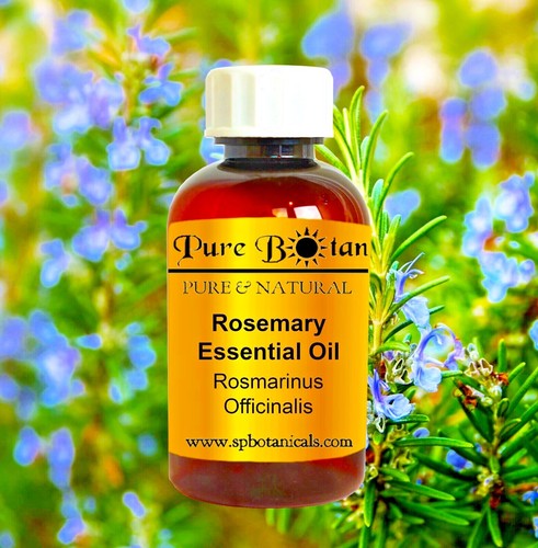 Rosemary Essential Oil 100% PURE NATURAL - Sizes 3ml to 3 Gallons -Aromatherapy - Picture 9 of 19