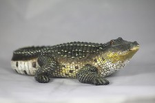 21cm CROCODILE/ALLIGATOR MODEL - VIVARIUM ORNAMENT - CRIKEY A CROC GIFT