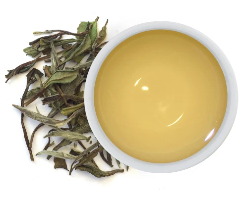 Weißer Tee Pai Mu Tan Bio 100g Biotiva (129,90 EUR/kg) - Bild 4 von 4