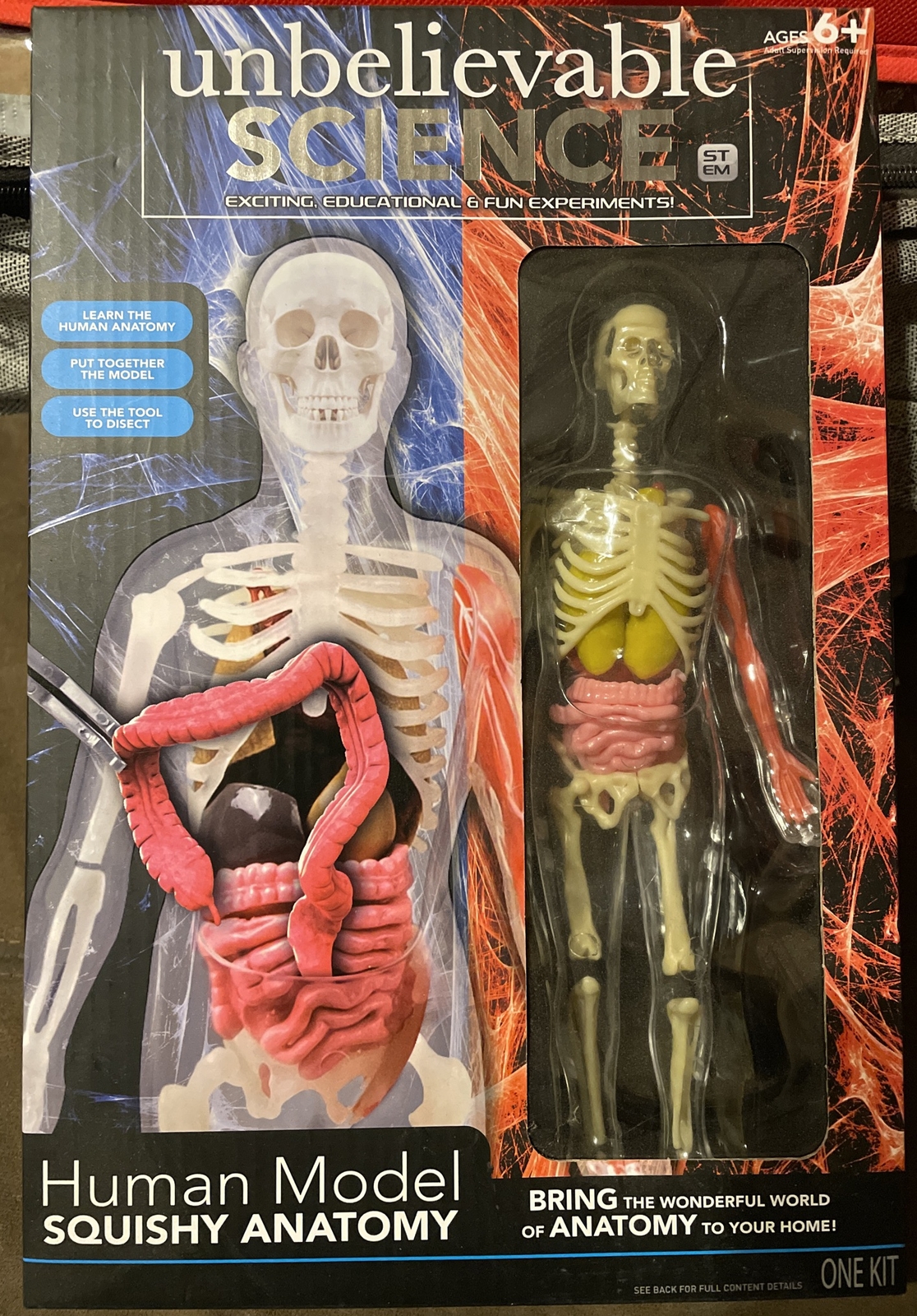 Science Of Anatomy Discovery Anatomy Human Kit | Science Museum Shop