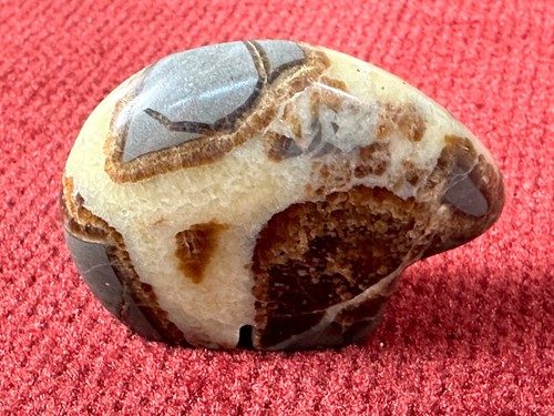 Slate & Quartz Crystal Navajo Fetish Bear - Picture 2 of 7