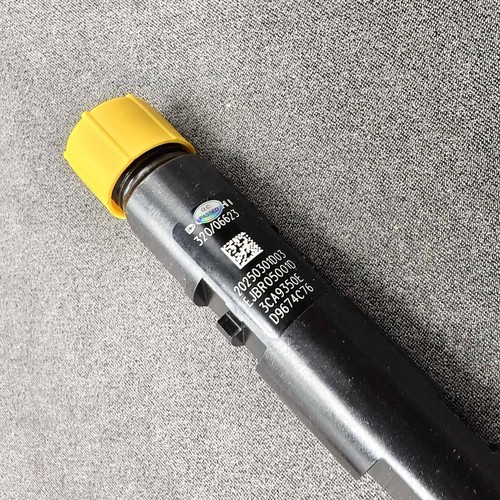 4pcs New Diesel Fuel Injector for JCB Diesel Engine EJBR05001D 320-06623 R05001D - Foto 8 di 9