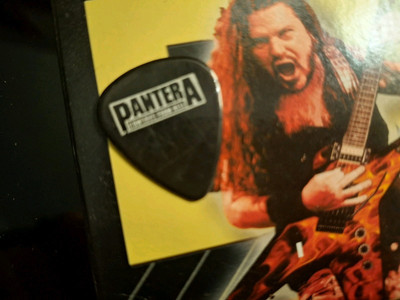Dimebag Darrell ギターピック Pantera/dimebag darrell guitar pick | eBay